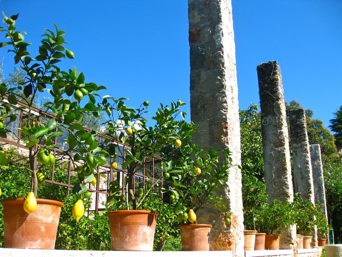Hotel Belvedere Torri Del Benaco Exterior foto
